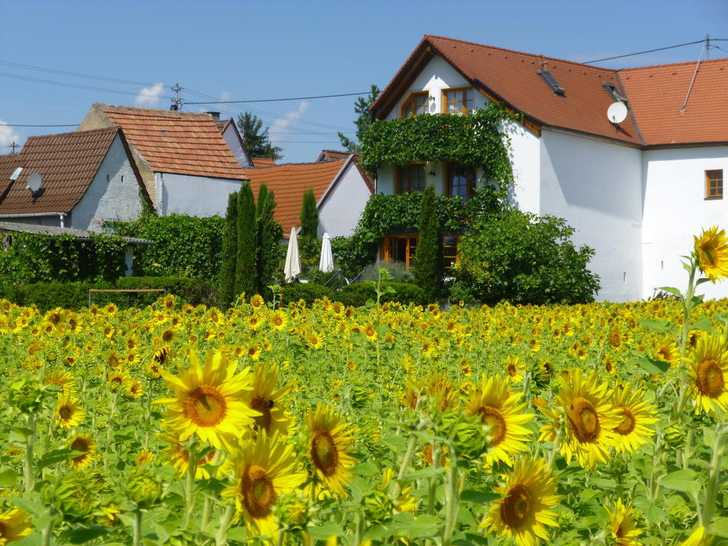 Landhotel Kallstadt Exterior foto